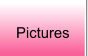 Pictures